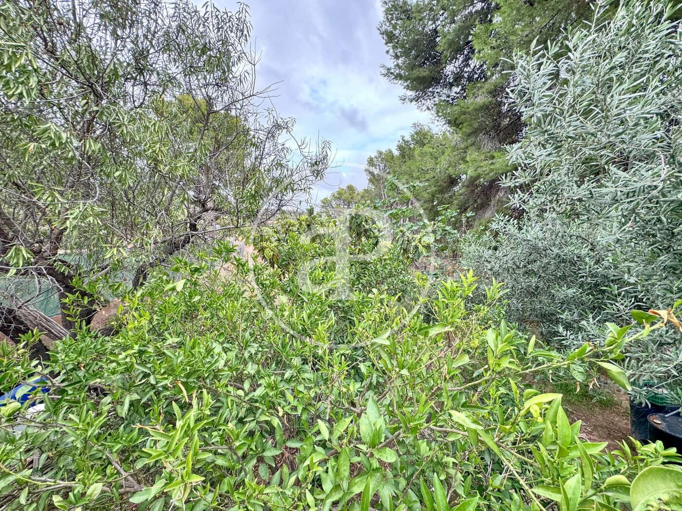 3 soveværelse Villa til salg i Albalat dels Tarongers med swimmingpool - € 220.000 (Ref: 8697253)