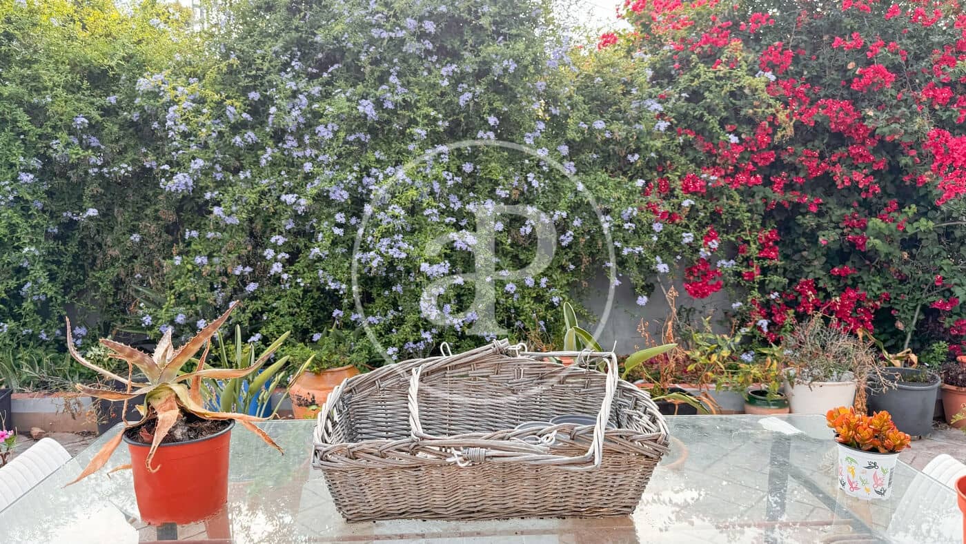 3 soveværelse Villa til salg i Albalat dels Tarongers med swimmingpool - € 220.000 (Ref: 8697253)