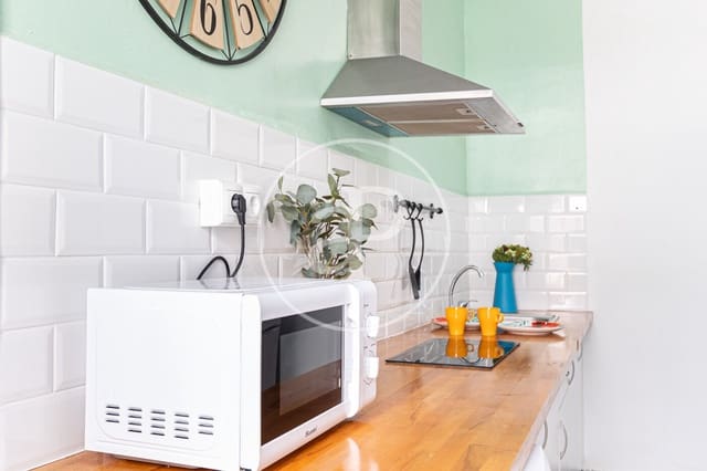 1 bedroom Apartment for rent in El Carme, Valencia city - € 1,200 (Ref: 8726693)