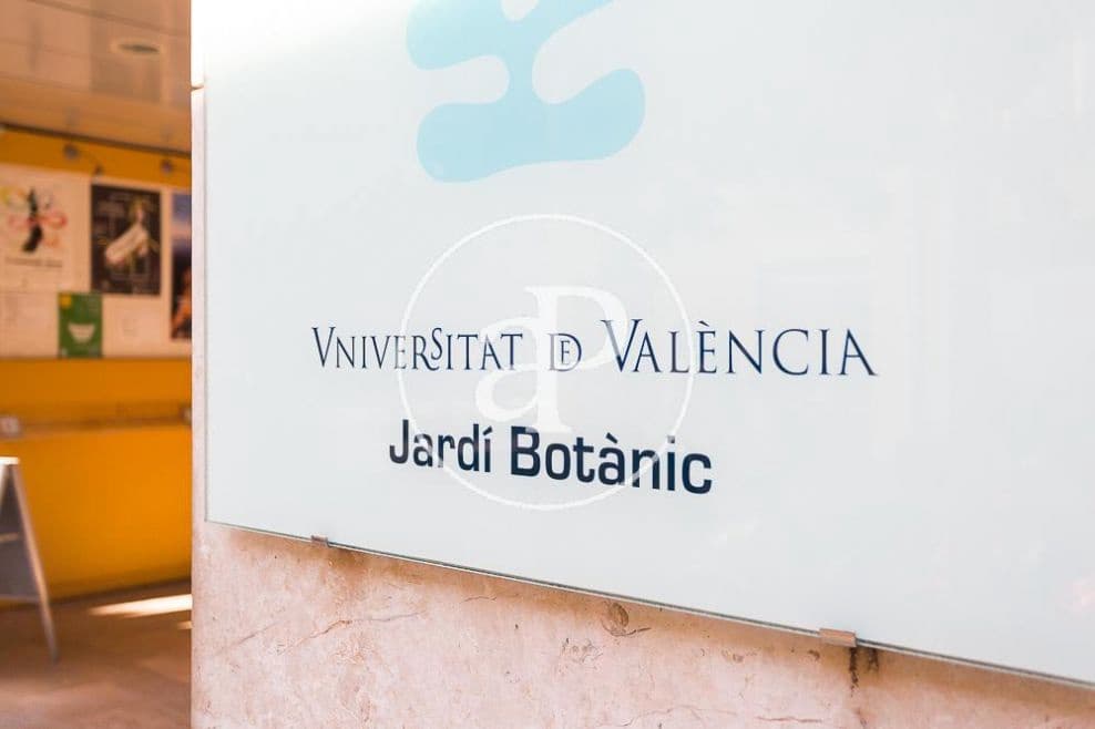 2 bedroom Apartment for rent in Valencia city - € 1,250 (Ref: 8830465)