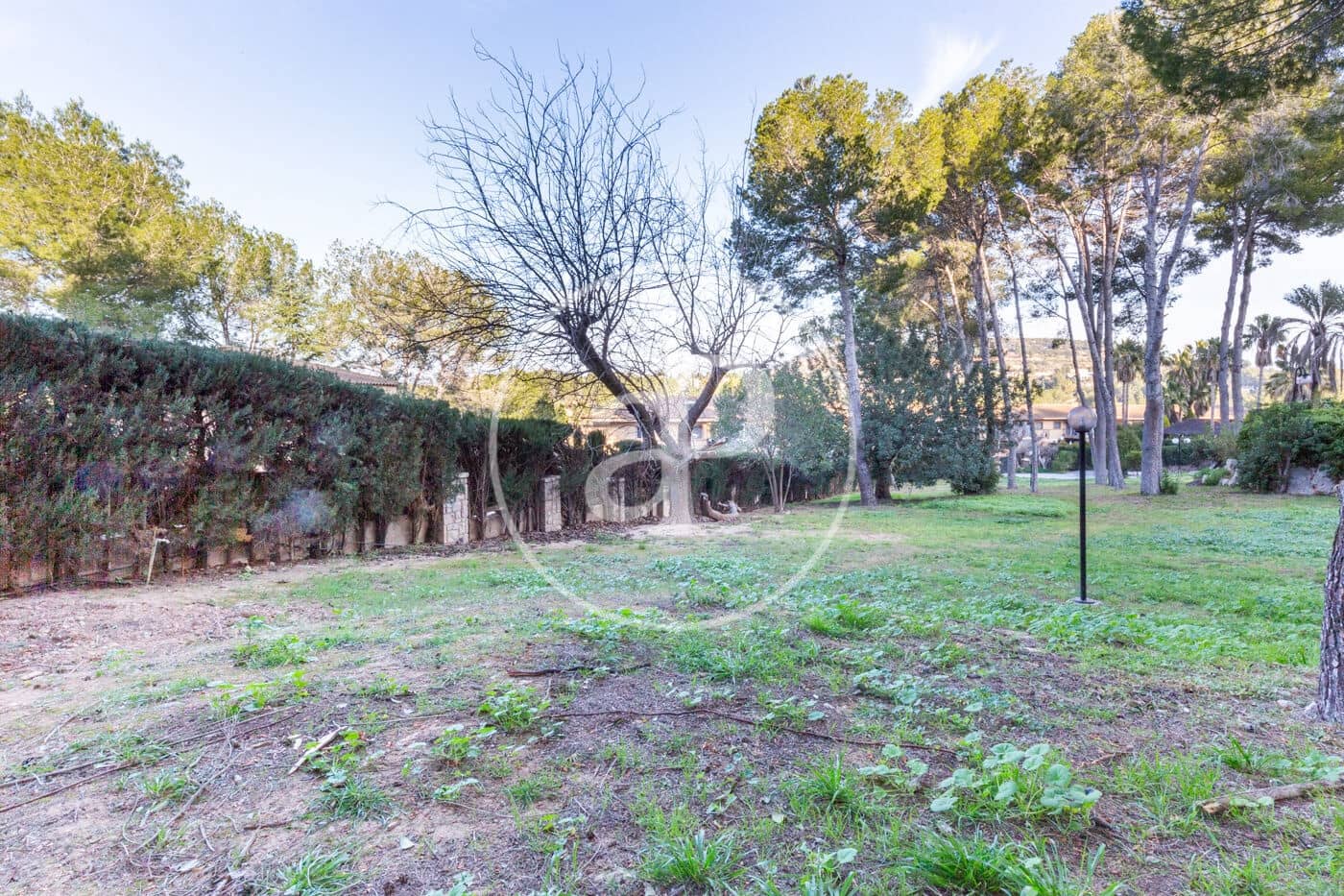 Grunde uden byggetilladelser til salg i Chiva - € 200.000 (Ref: 8900429)