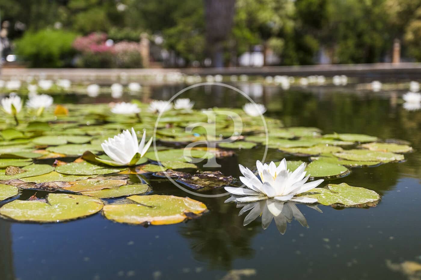 3 slaapkamer Appartement te huur in Valencia stad - € 1.300 (Ref: 8911339)