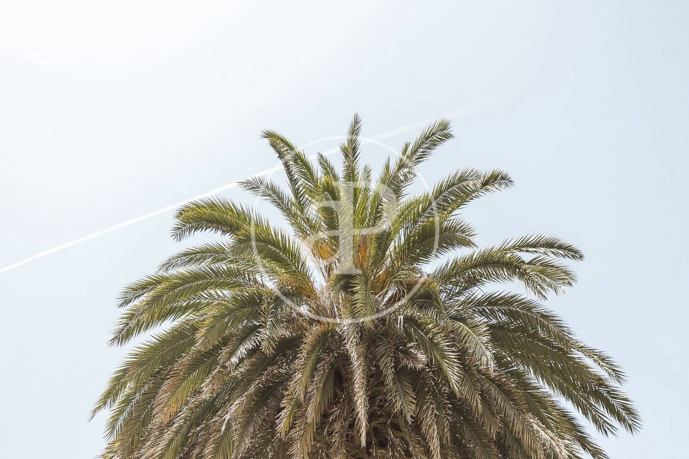 3 slaapkamer Appartement te huur in Valencia stad - € 1.300 (Ref: 8911339)