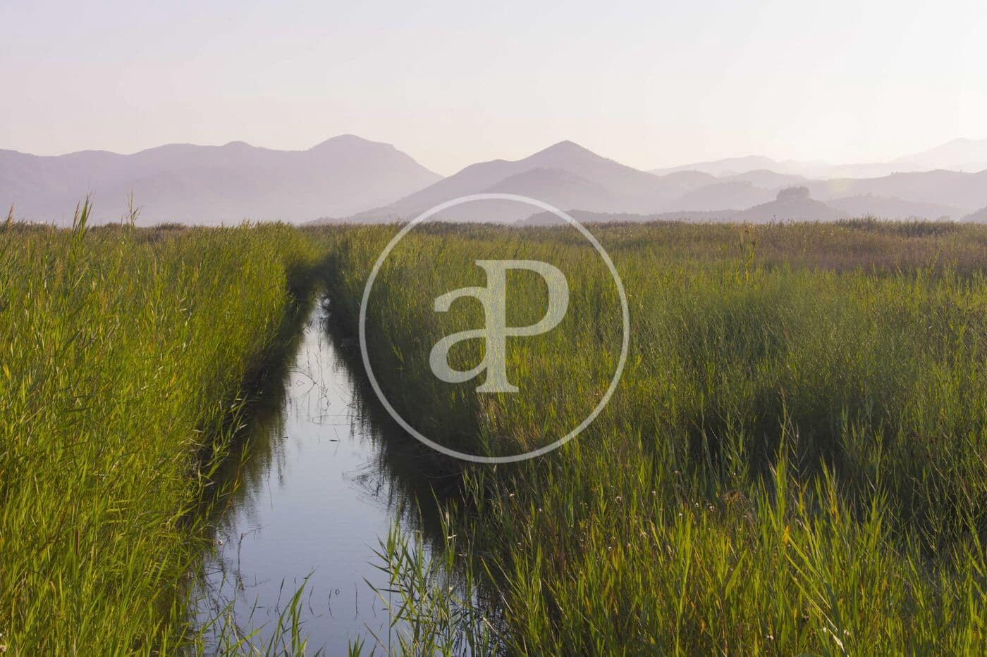 Lejlighed til salg i Oliva med swimmingpool - € 275.000 (Ref: 9000070)