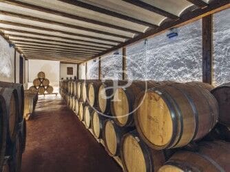 18 sypialnia Willa na sprzedaż w Utiel - 900 000 € (Ref: 9003083)