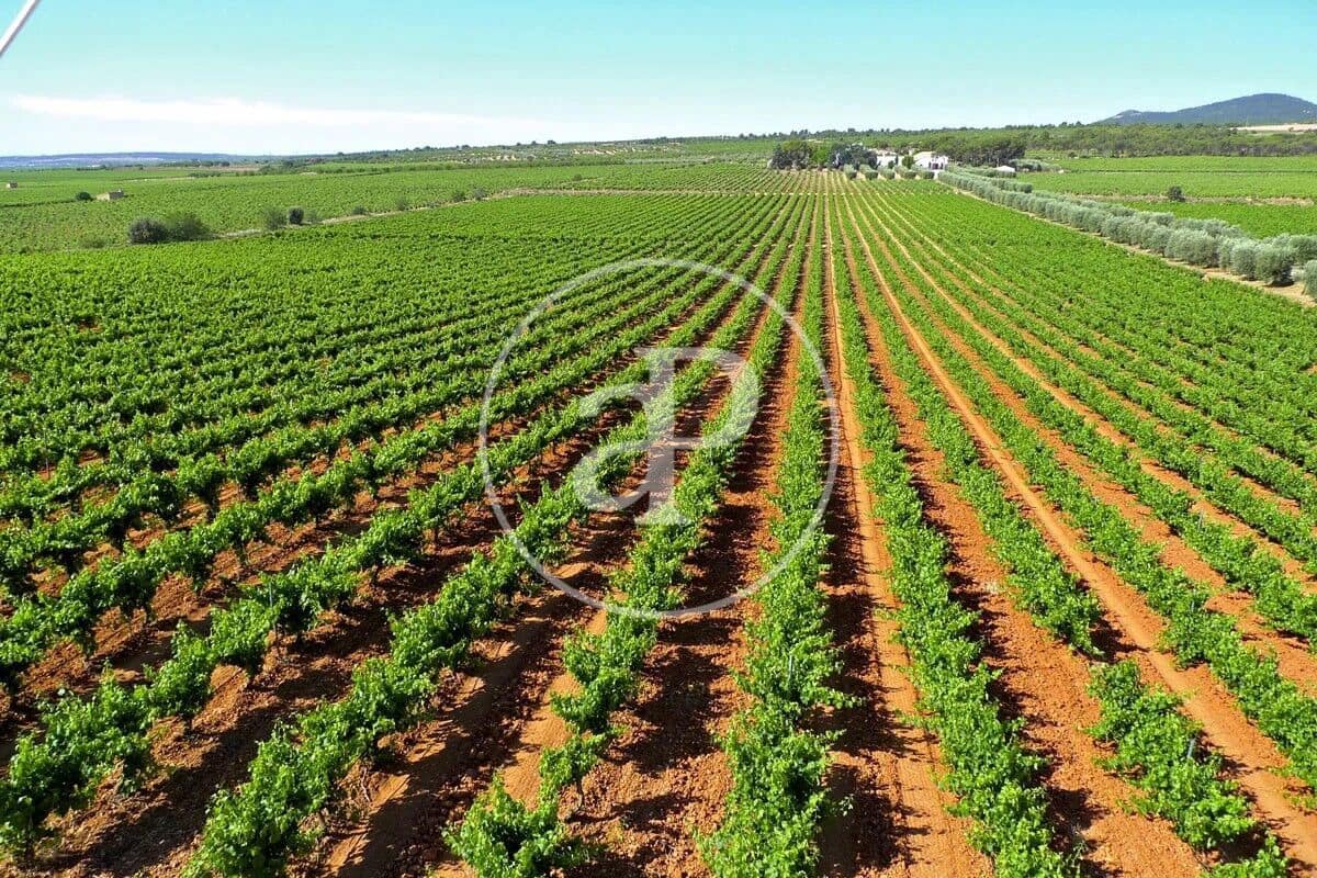 18 bedroom Villa for sale in Utiel - € 900,000 (Ref: 9003083)