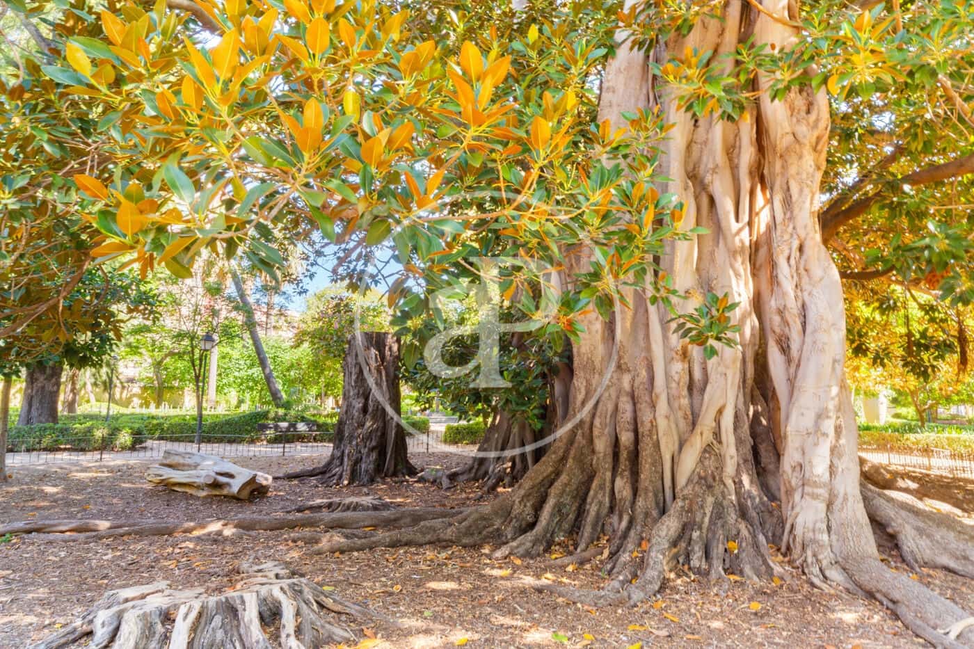 2 makuuhuone Huoneisto vuokrattavana paikassa Valencia kaupunki - 1 190 € (Ref: 9099354)