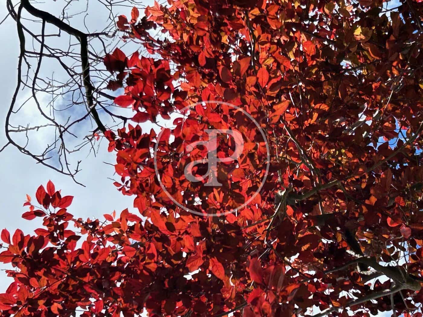 2 soveværelse Lejlighed til salg i Valencia by - € 329.000 (Ref: 9106722)