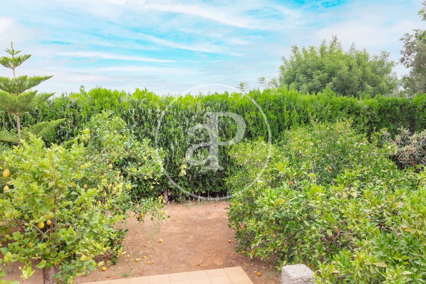 5 soveværelse Villa til salg i Picassent med swimmingpool - € 520.000 (Ref: 9128589)