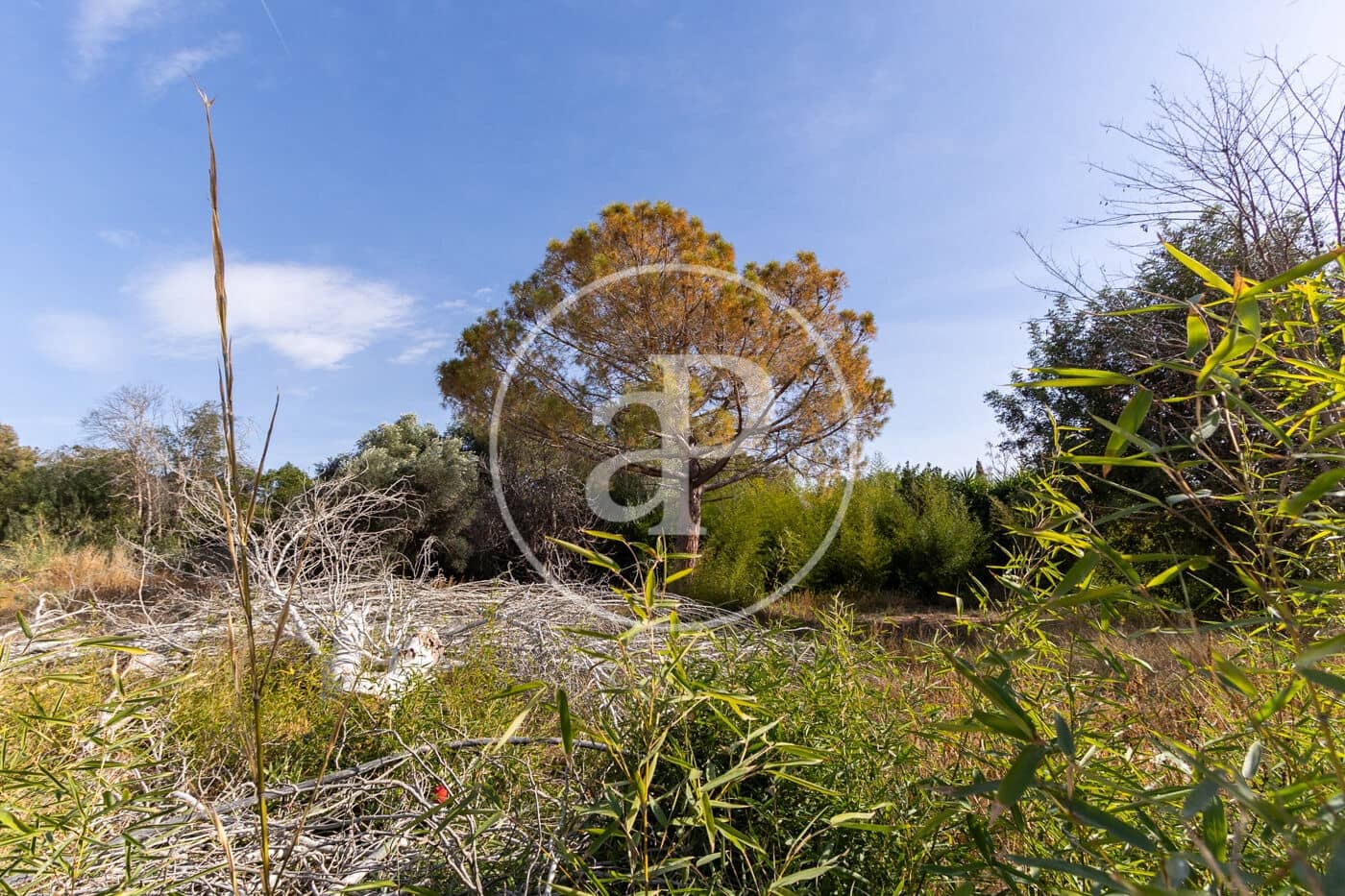 Grunde uden byggetilladelser til salg i L'Eliana - € 280.000 (Ref: 9181263)