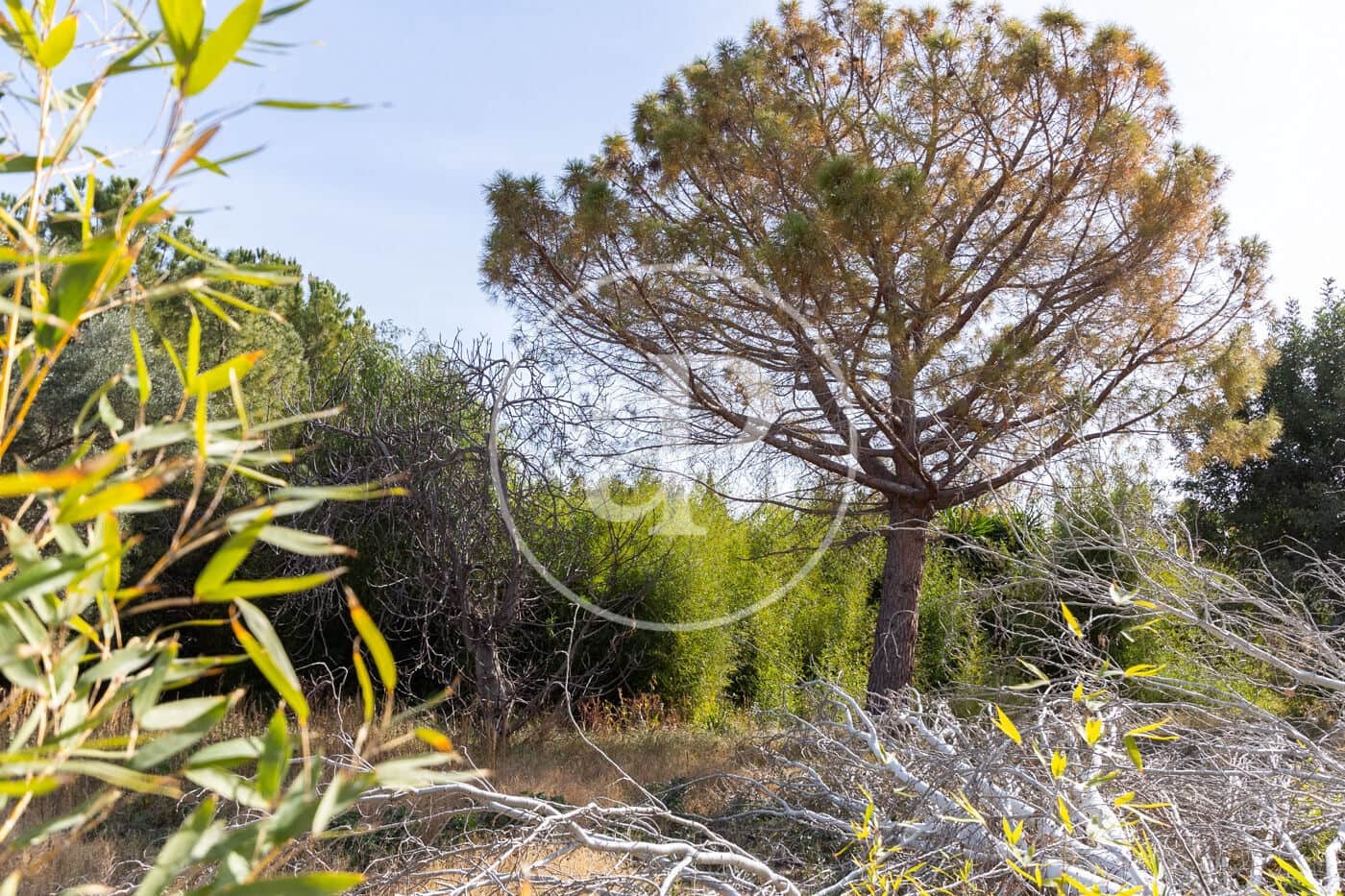 Grunde uden byggetilladelser til salg i L'Eliana - € 280.000 (Ref: 9181263)