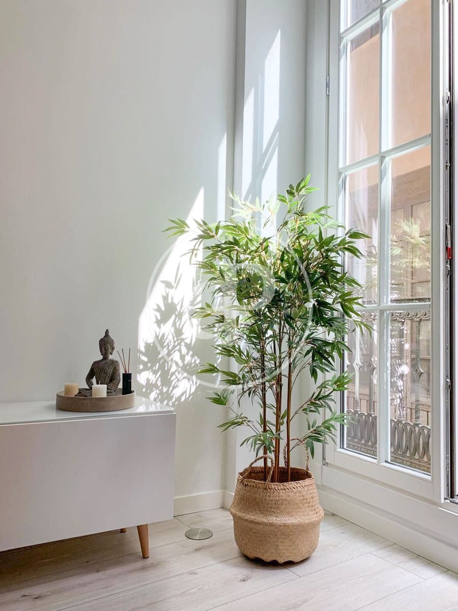 1 quarto Apartamento para venda em Valencia cidade - 299 000 € (Ref: 9202658)