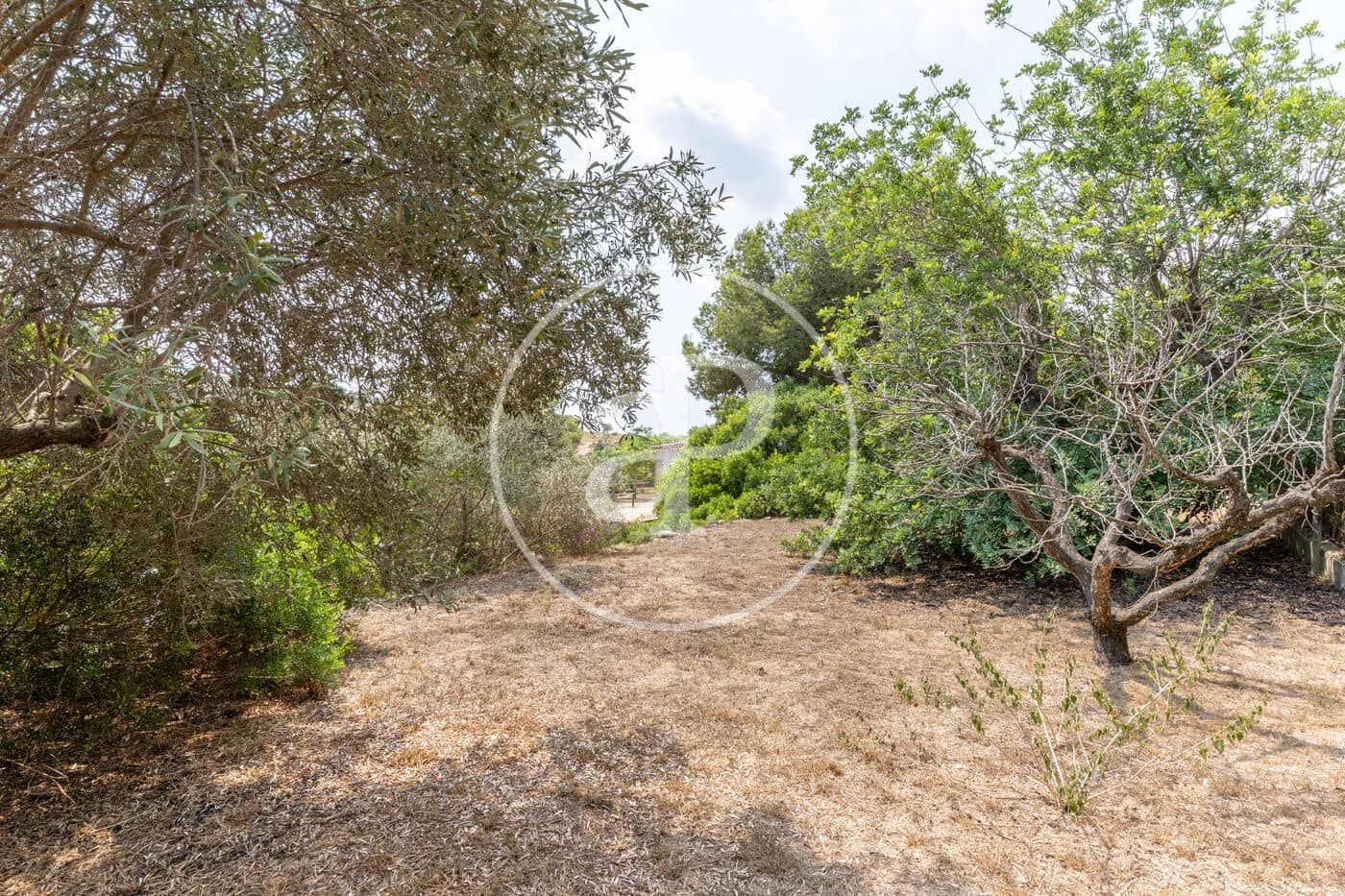 4 soveværelse Villa til salg i Montserrat - € 375.000 (Ref: 9215426)