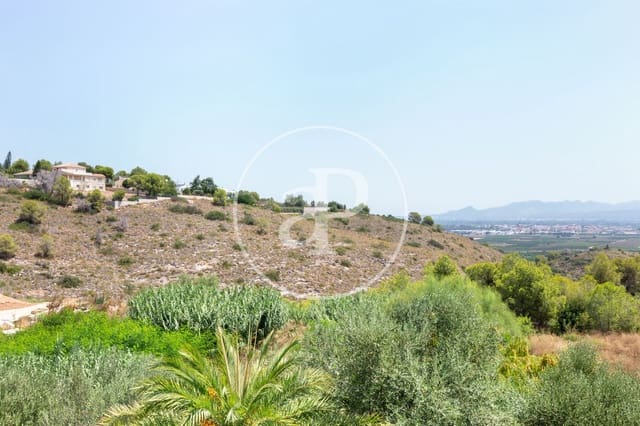 Undeveloped Land for sale in Alberic - € 40,000 (Ref: 9264636)