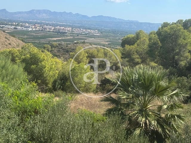 Undeveloped Land for sale in Alberic - € 40,000 (Ref: 9264636)