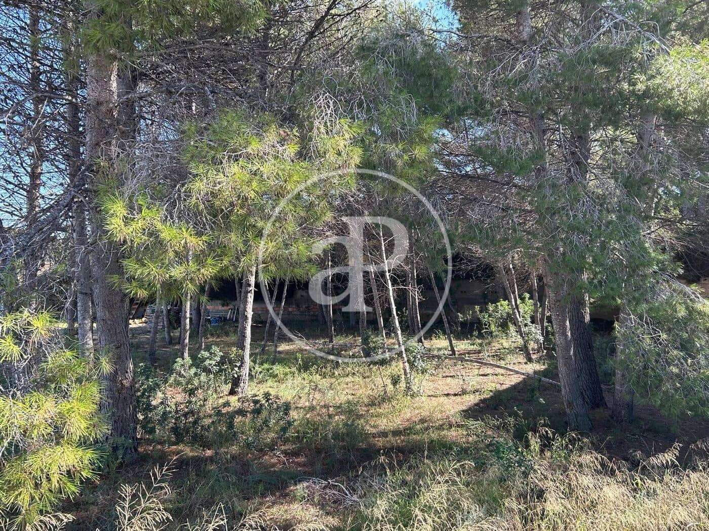 Ubebygd land til salgs i La Canada - € 298 000 (Ref: 9312951)