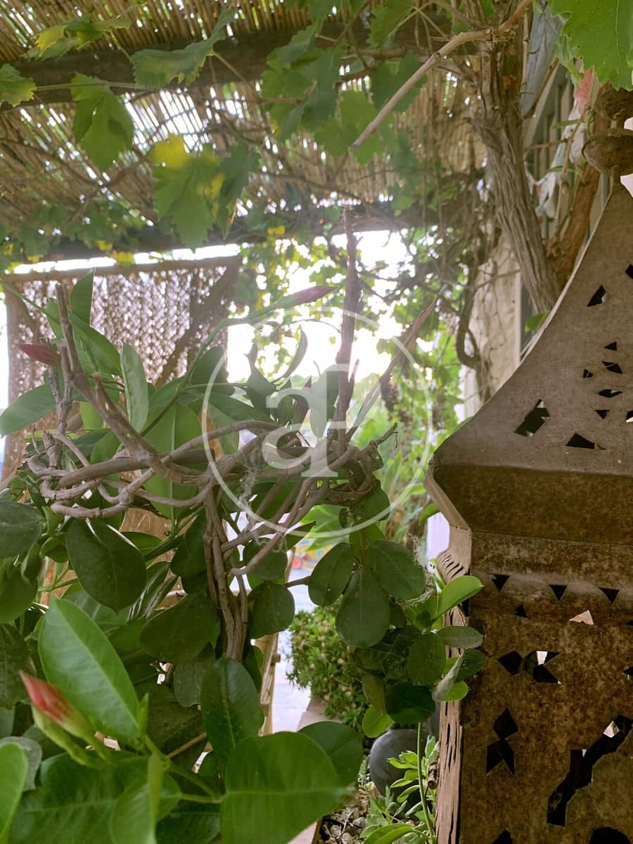 4 camera da letto Finca/Casa di Campagna in vendita in Alcoy / Alcoi - 575.000 € (Rif: 9375403)