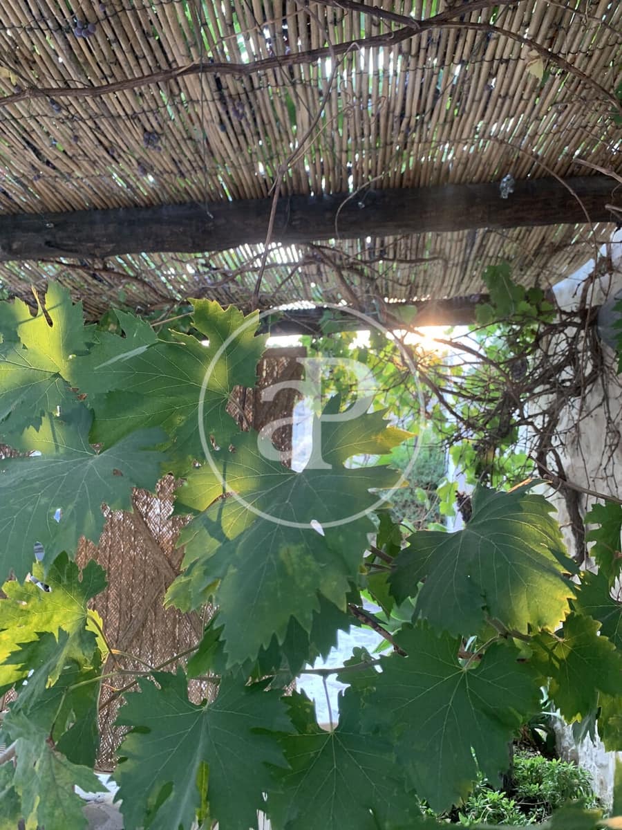 4 camera da letto Finca/Casa di Campagna in vendita in Alcoy / Alcoi - 575.000 € (Rif: 9375403)