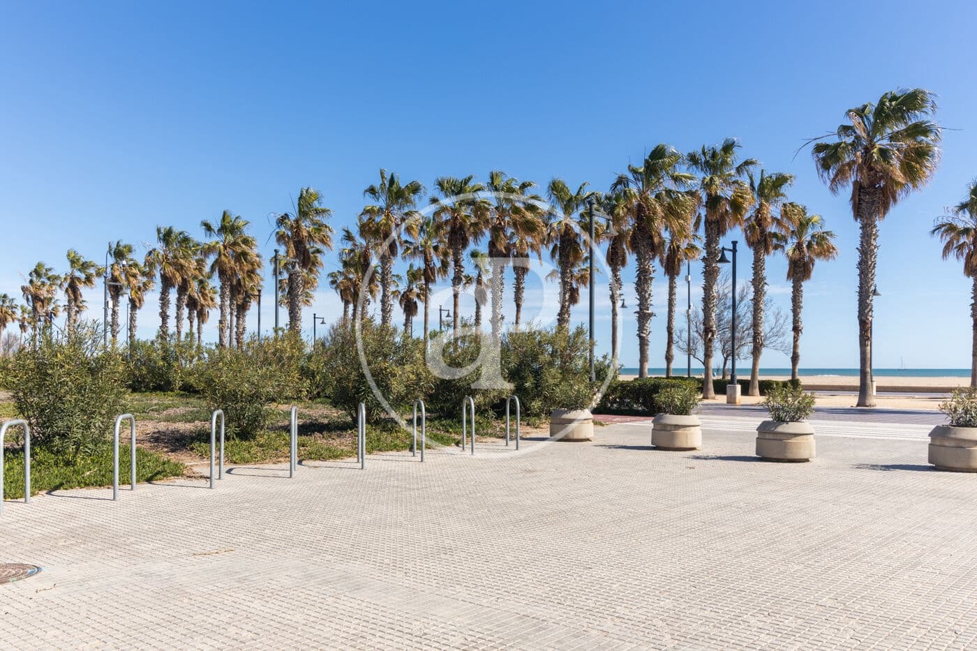 1 bedroom Apartment for rent in Valencia city - € 1,290 (Ref: 9379115)