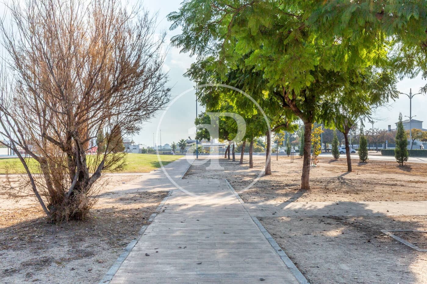 3 bedroom Villa for sale in Burriana / Borriana with pool - € 495,000 (Ref: 9456353)