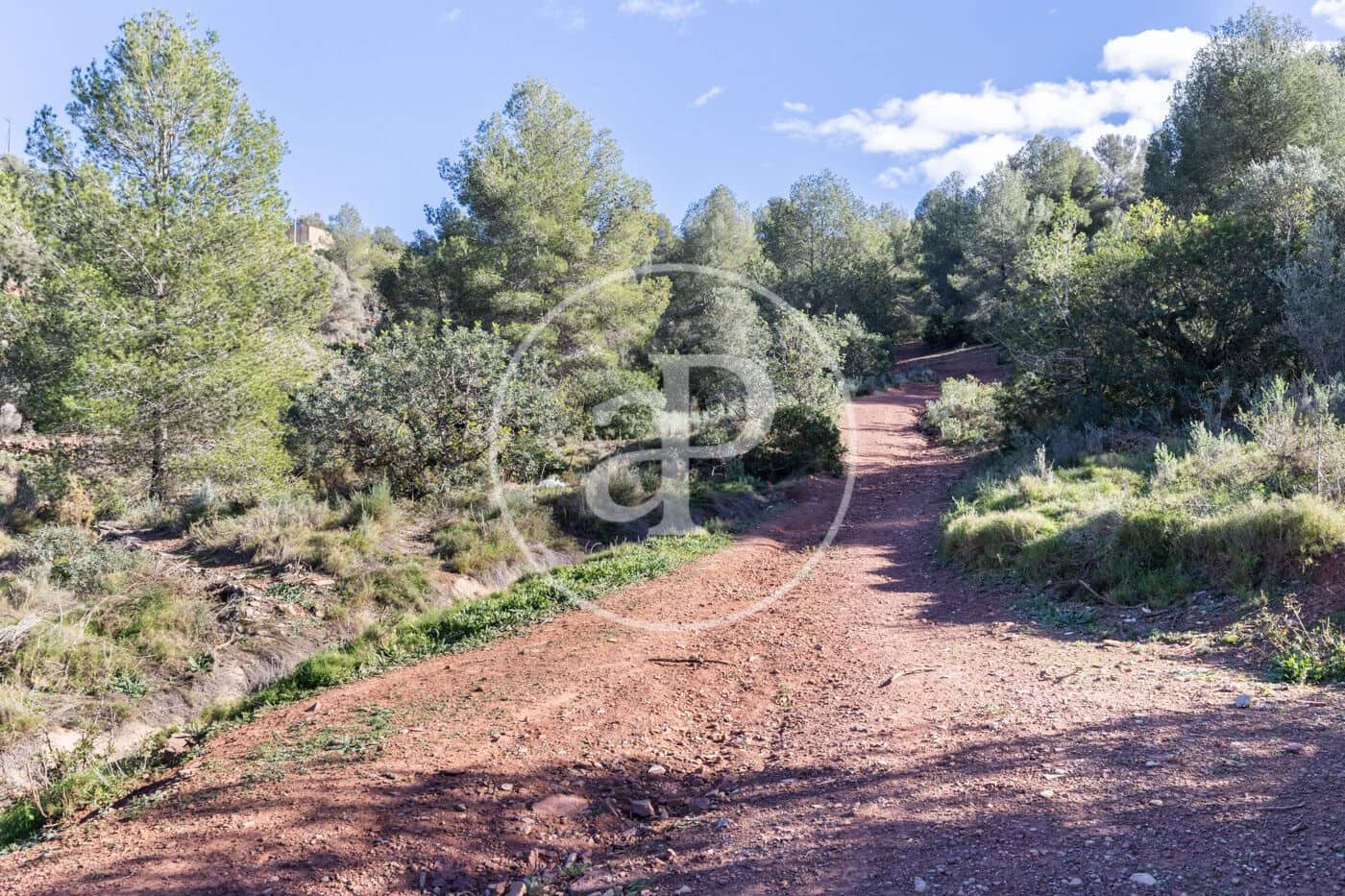 Villa/Maison de 5 chambres à louer à Naquera - 1 200 € (Ref: 9465659)