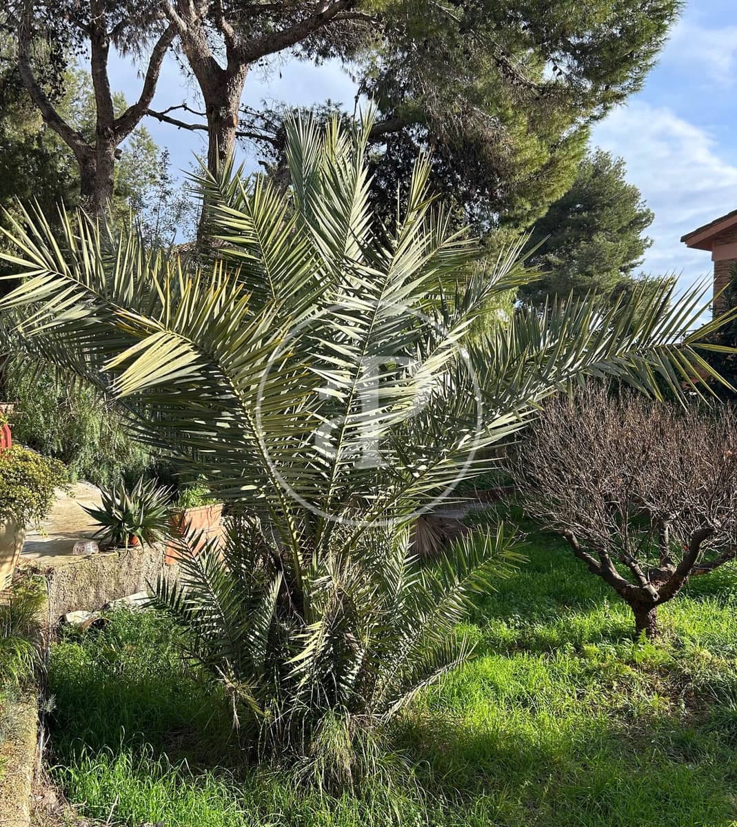 3 soveværelse Villa til salg i Torrent med swimmingpool - € 450.000 (Ref: 9525678)