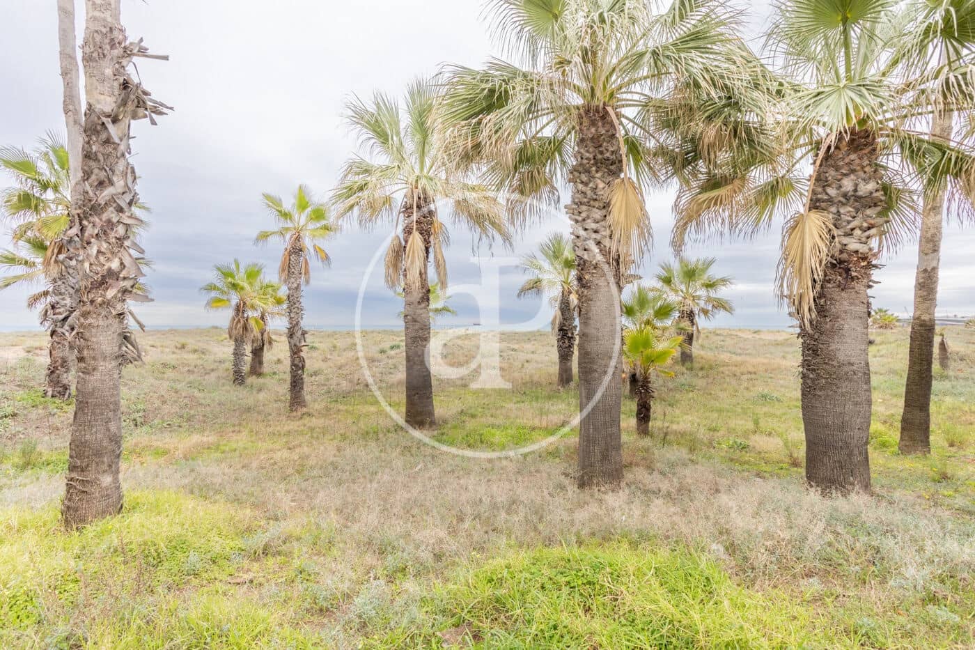 3 sovrum Lägenhet till salu i Castello de la Plana - 185 000 € (Ref: 9561905)