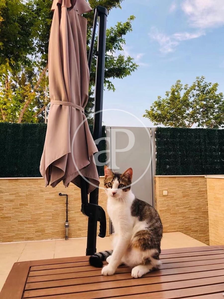 3 makuuhuone Huoneisto vuokrattavana paikassa Puig - 3 000 € (Ref: 9608145)