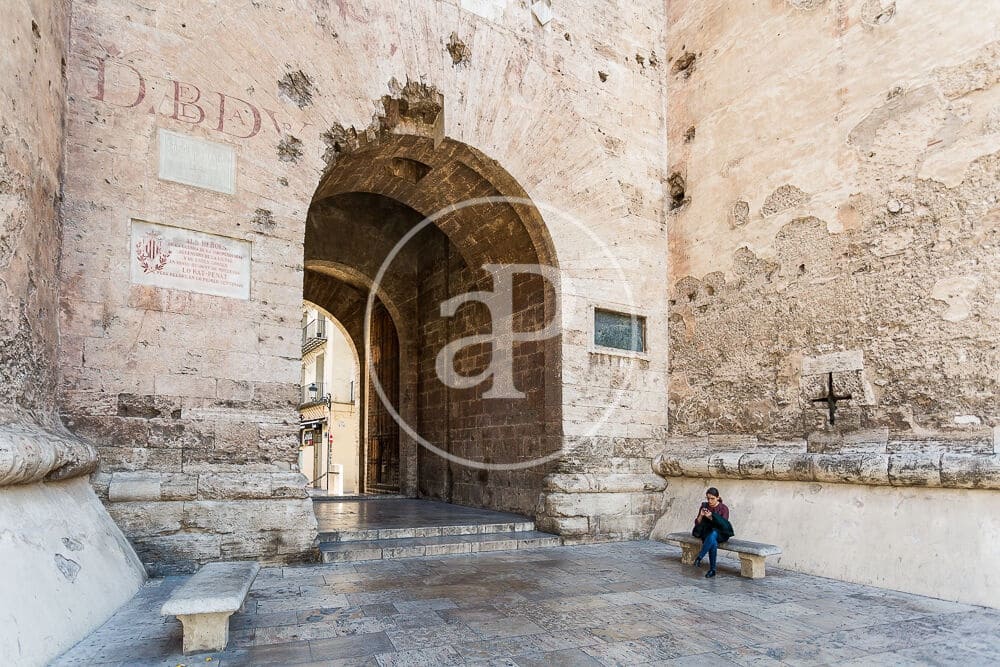 2 sypialnia Apartament do wynajęcia w Miasto Walencja - 1 400 € (Ref: 9695426)