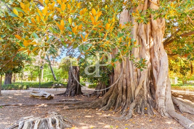 2 Zimmer Apartment zu verkaufen in Albors, València Stadt - 305.000 € (Ref: 9720042)