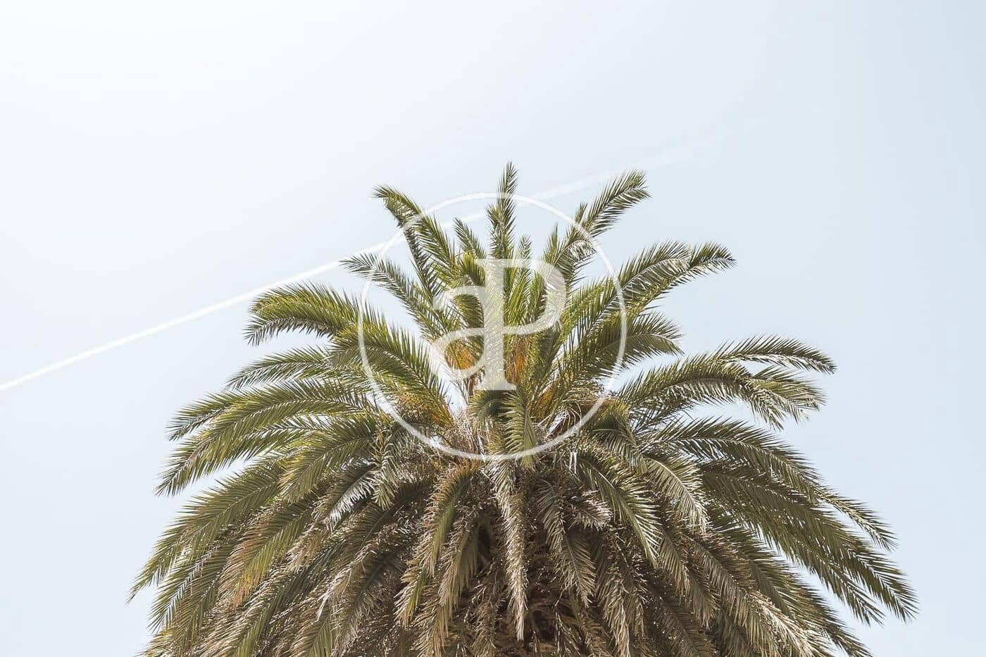 4 slaapkamer Appartement te huur in Valencia stad - € 1.550 (Ref: 9797224)