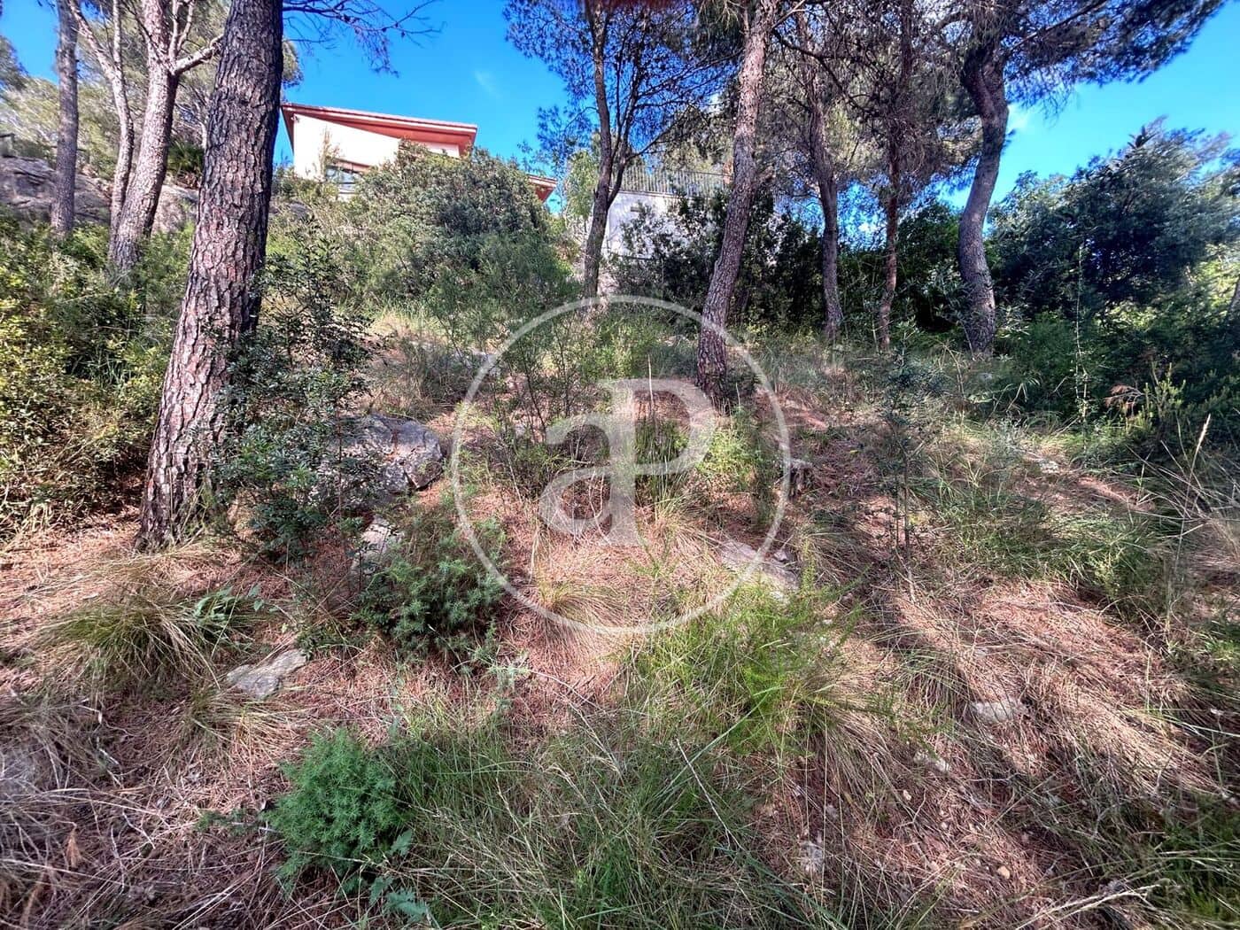 Teren niezagospodarowany na sprzedaż w Chiva - 115 000 € (Ref: 9833734)