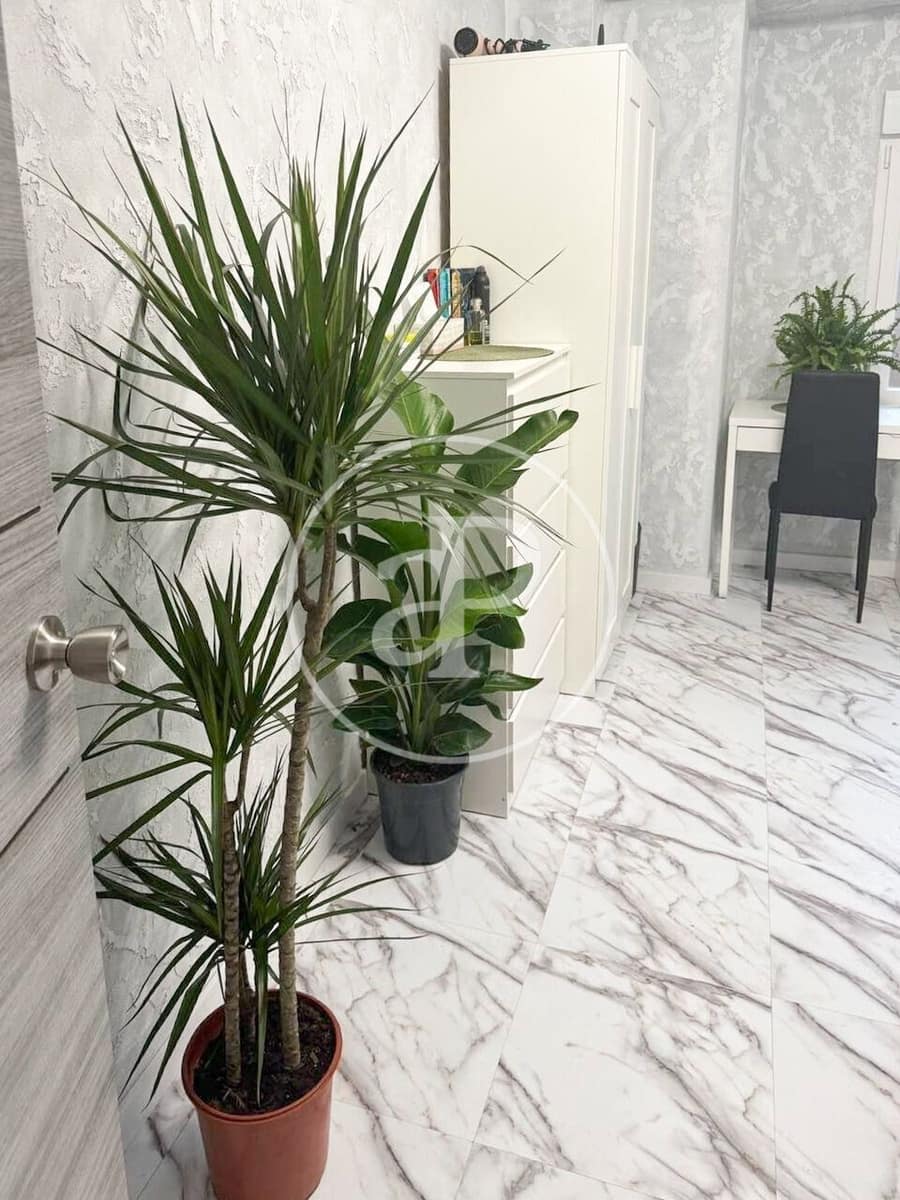 5 sypialnia Apartament na sprzedaż w Mislata - 210 000 € (Ref: 9915908)