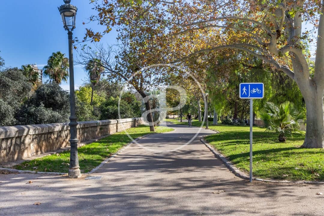 1 Zimmer Apartment zu vermieten in Valencia Stadt - 1.400 € (Ref: 9998887)