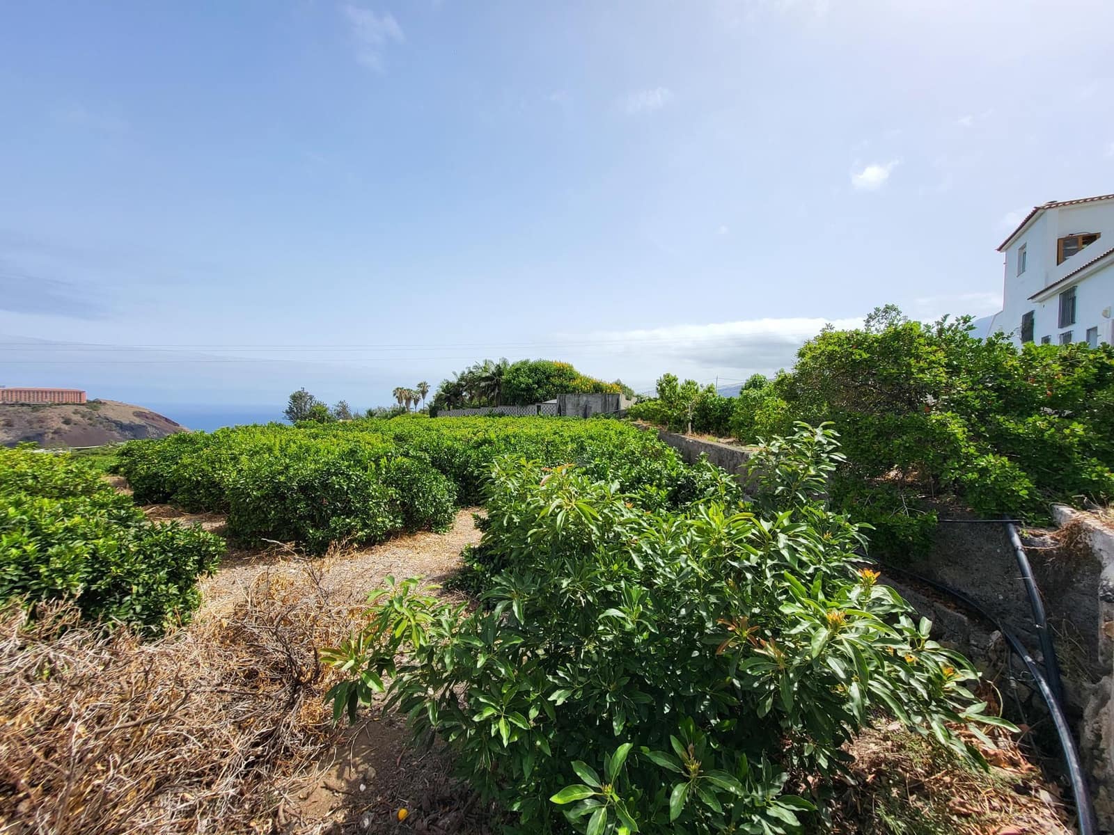 4 soveværelse Villa til salg i La Orotava - € 1.400.000 (Ref: 9128920)