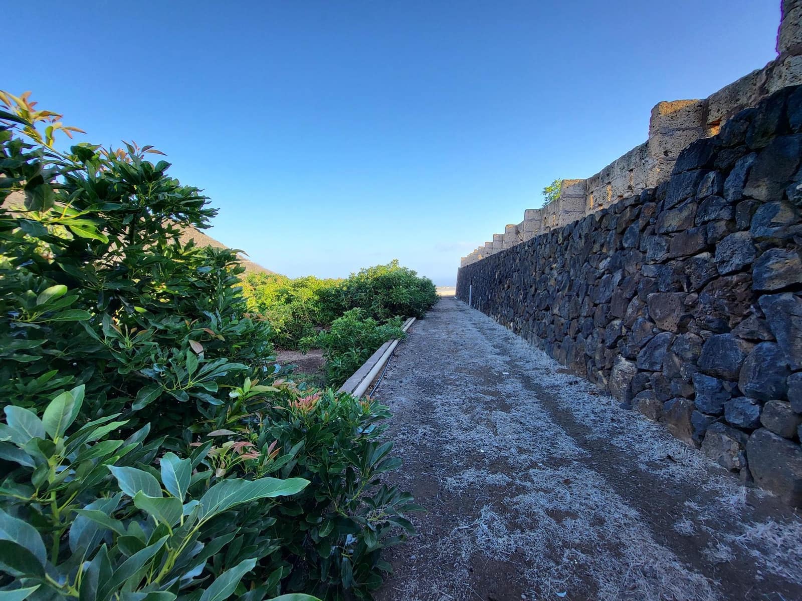 3 soverom Villa til salgs i Tegueste med svømmebasseng - € 4 000 000 (Ref: 9128921)