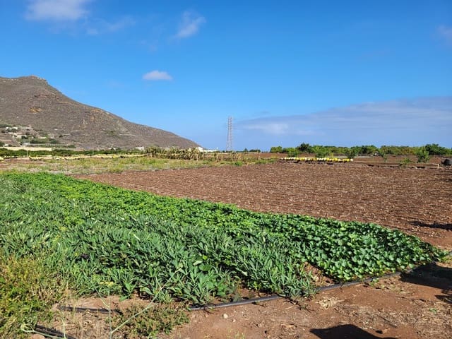 3 soverom Villa til salgs i Tegueste med svømmebasseng - € 4 000 000 (Ref: 9128921)