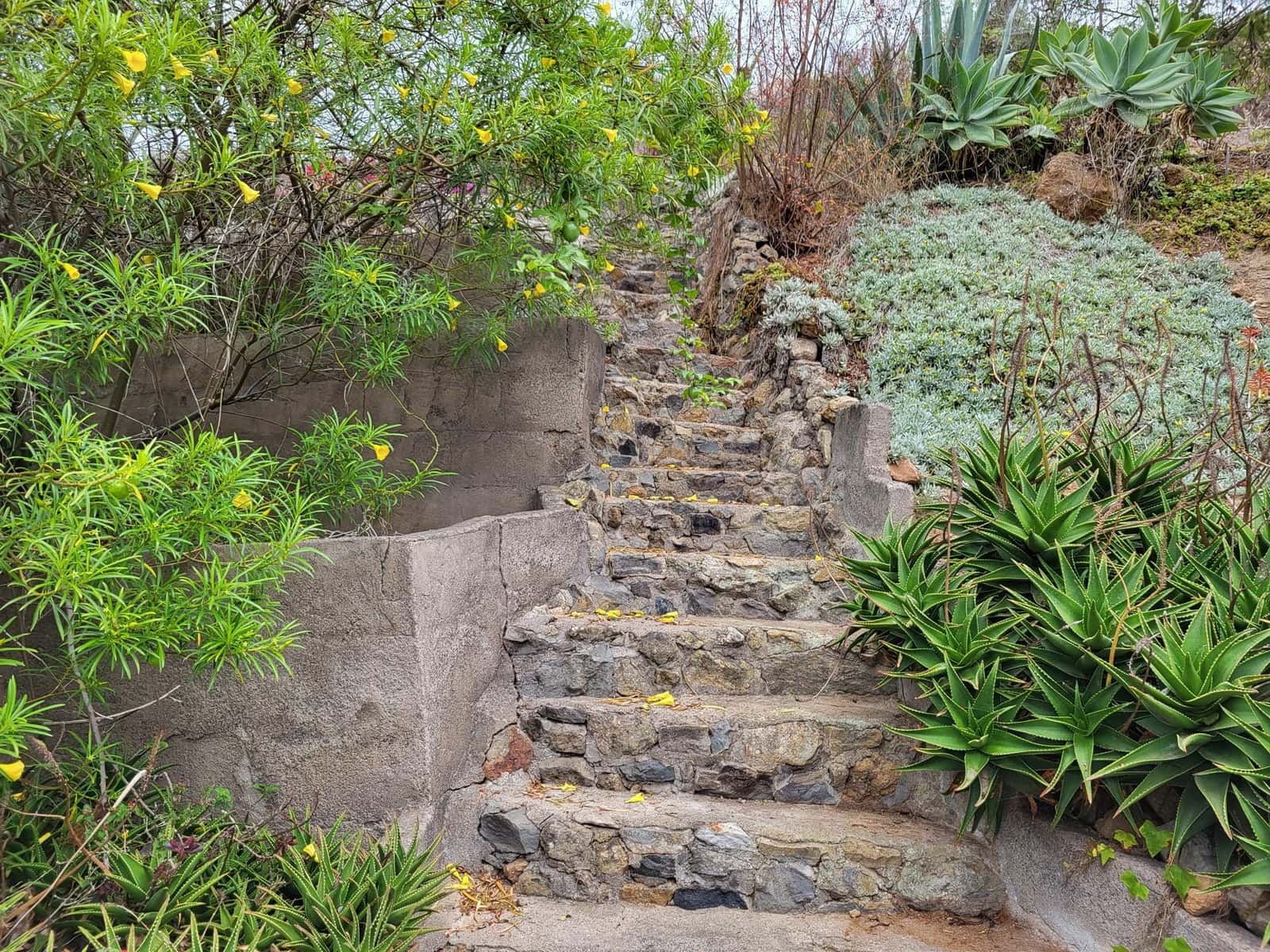 5 soverom Villa til salgs i San Juan de la Rambla - € 1 190 000 (Ref: 9128922)