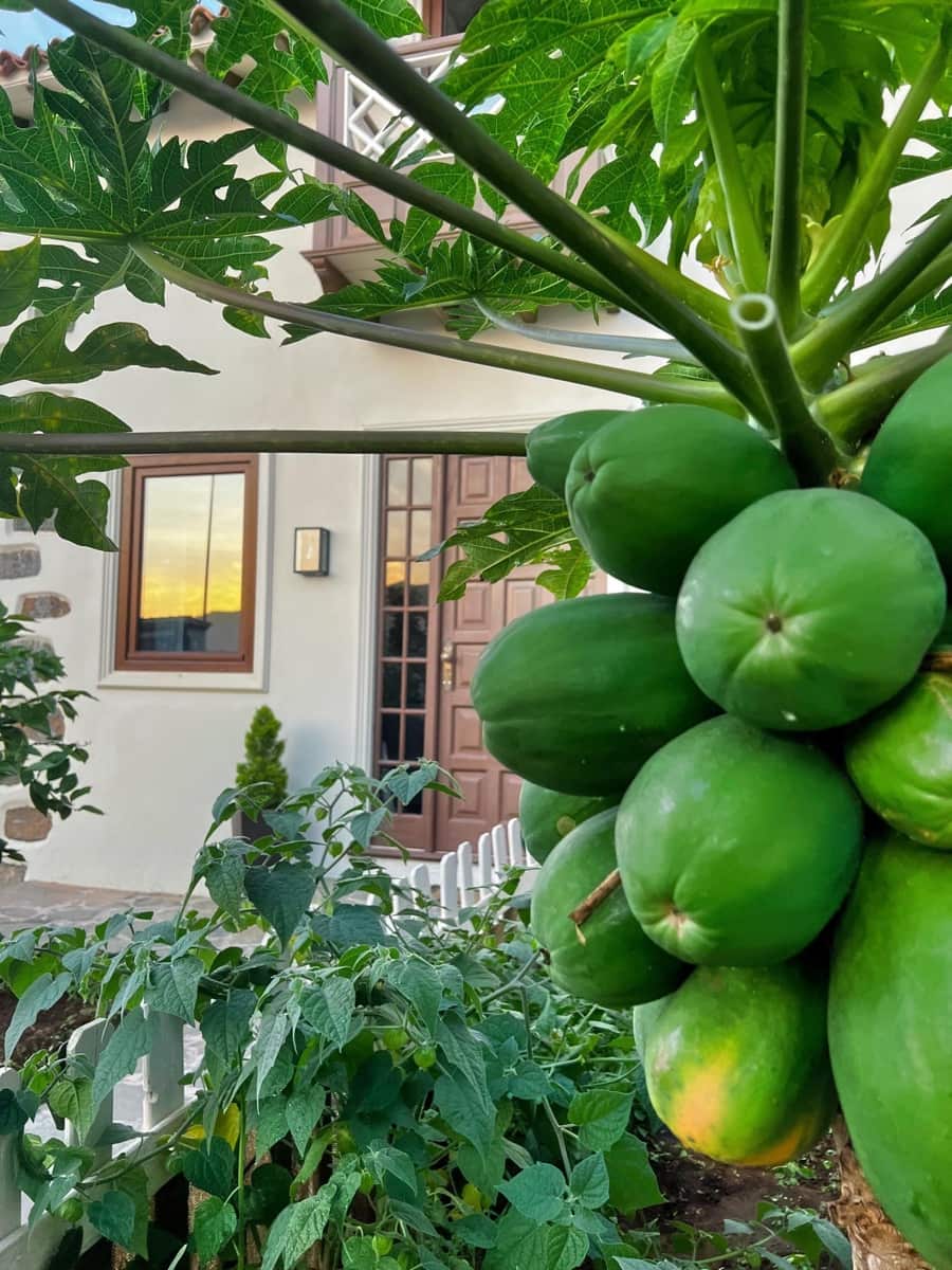 3 soverom Villa til salgs i La Orotava med svømmebasseng - € 1 250 000 (Ref: 9128935)