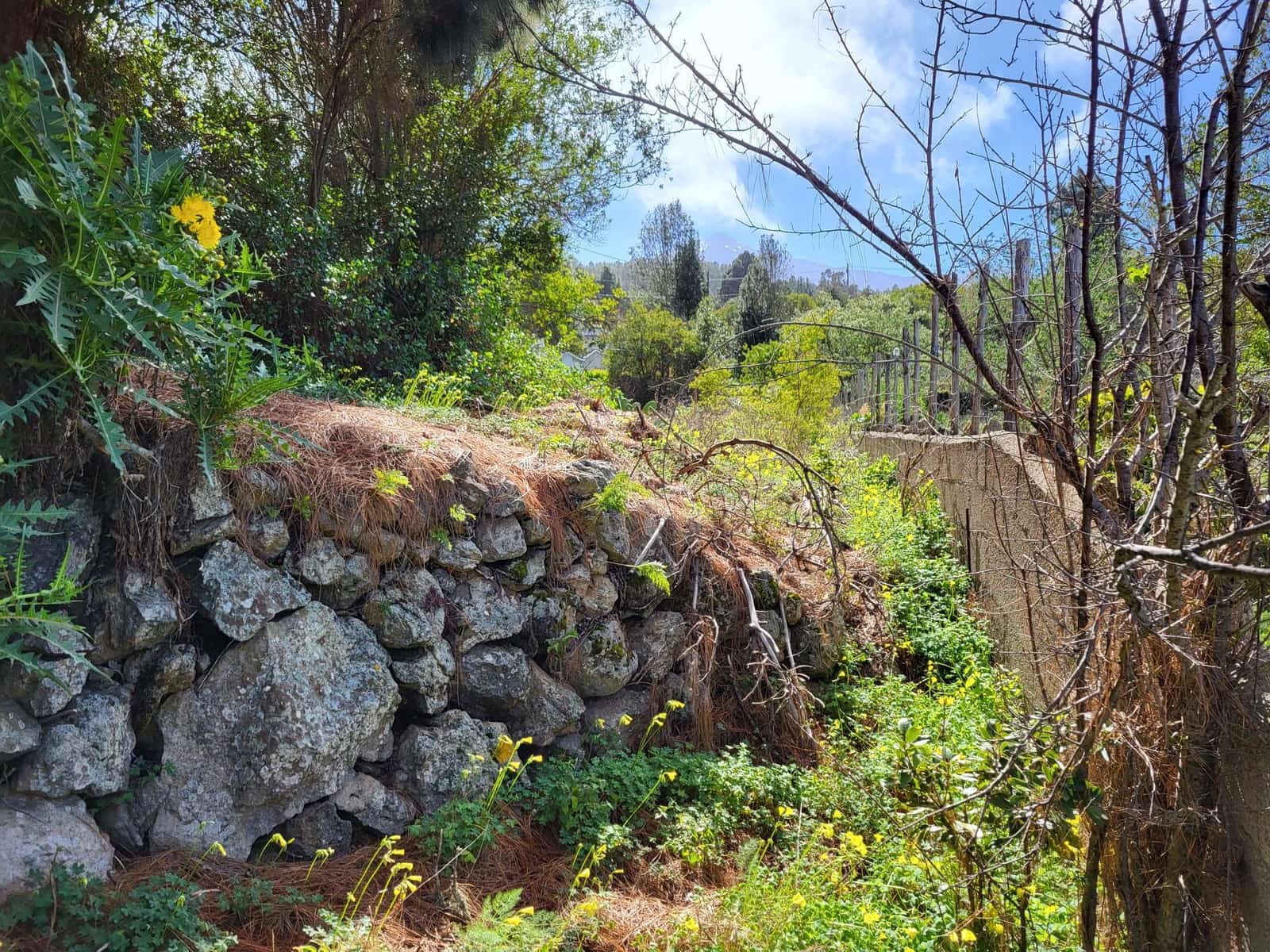 4 soveværelse Villa til salg i Icod de los Vinos med swimmingpool - € 349.000 (Ref: 9128937)