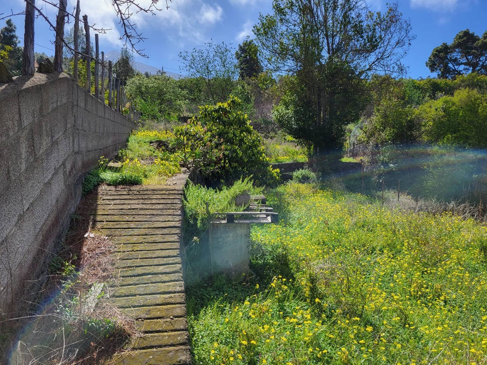 4 soveværelse Villa til salg i Icod de los Vinos med swimmingpool - € 349.000 (Ref: 9128937)