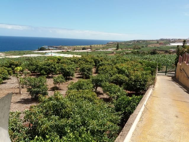 Undeveloped Land for sale in Buenavista del Norte - € 465,000 (Ref: 9148014)