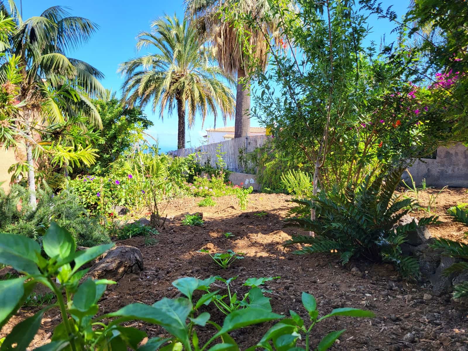 5 slaapkamer Villa te koop in Tacoronte met zwembad - € 3.180.000 (Ref: 9158185)