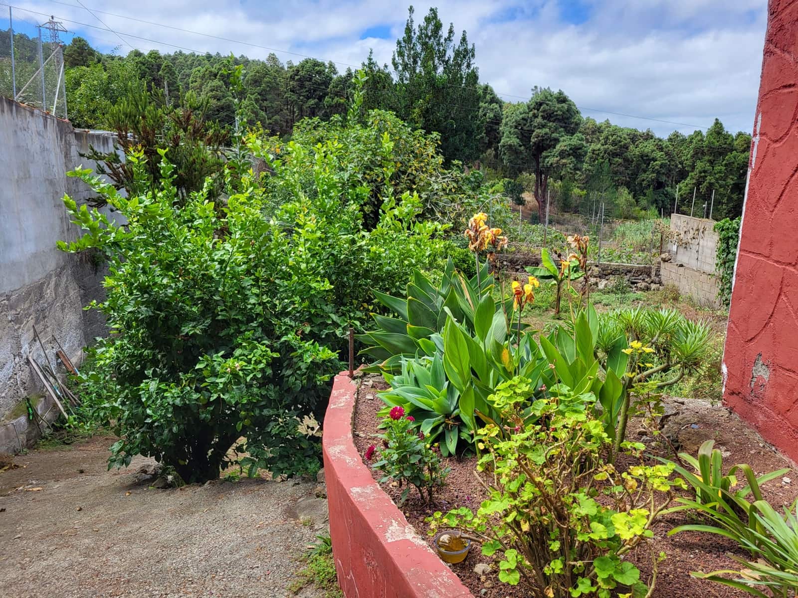 3 slaapkamer Villa te koop in Icod de los Vinos - € 335.000 (Ref: 9271561)