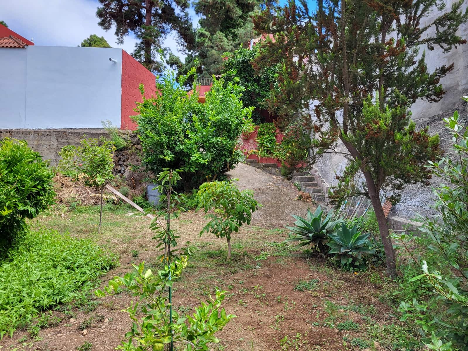 3 slaapkamer Villa te koop in Icod de los Vinos - € 335.000 (Ref: 9271561)