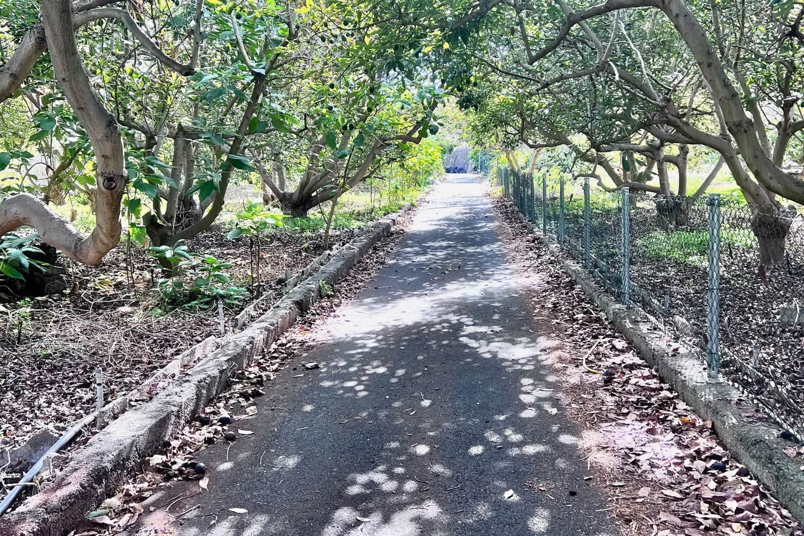 Finca/Casa Rural de 3 habitaciones en Los Realejos en venta - 885.000 € (Ref: 9360568)