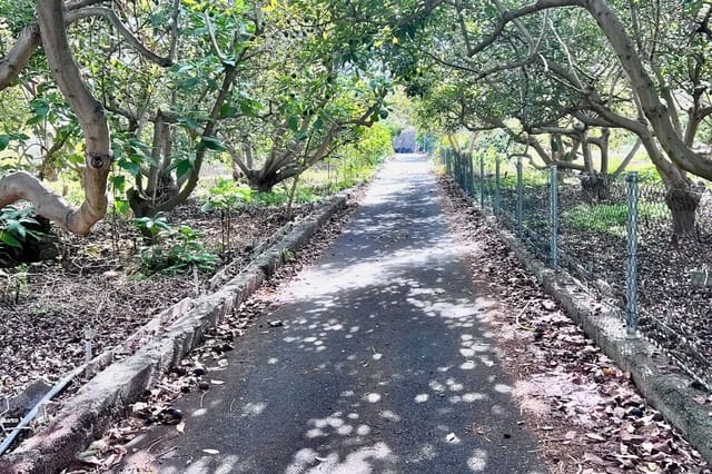 3 soveværelse Finca/Landehus til salg i Los Realejos - € 885.000 (Ref: 9360568)