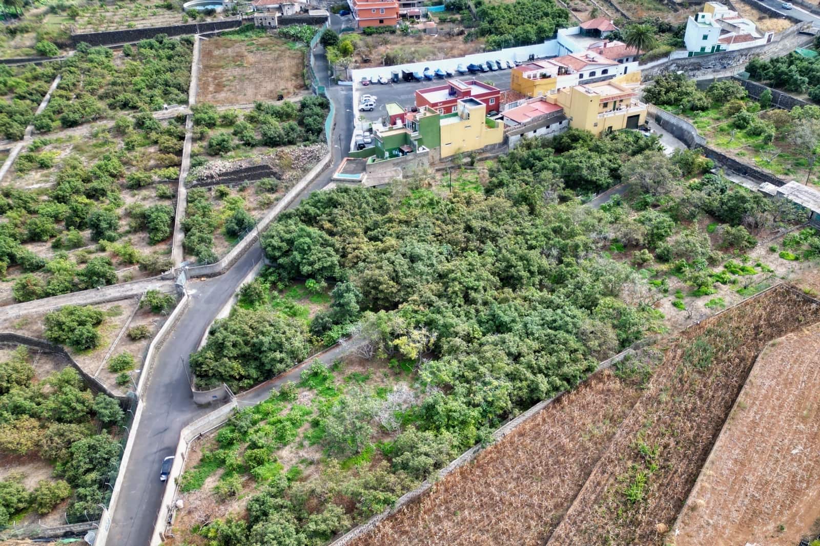 Finca/Casa Rural de 3 habitaciones en Los Realejos en venta - 885.000 € (Ref: 9360568)