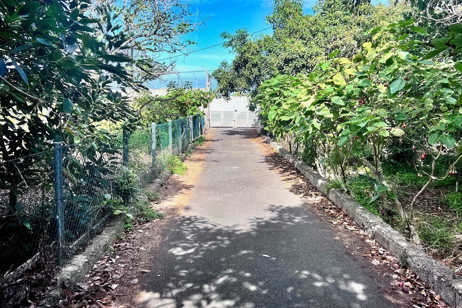 Finca/Casa Rural de 3 habitaciones en Los Realejos en venta - 885.000 € (Ref: 9360568)