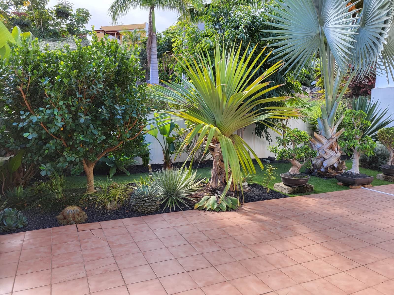 2 slaapkamer Appartement te koop in Los Realejos met garage - € 249.000 (Ref: 9383709)